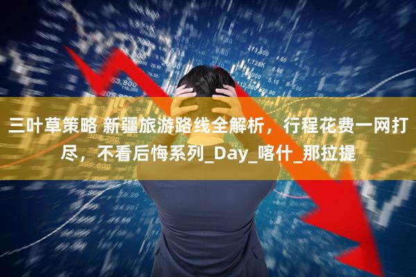 三叶草策略 新疆旅游路线全解析，行程花费一网打尽，不看后悔系列_Day_喀什_那拉提