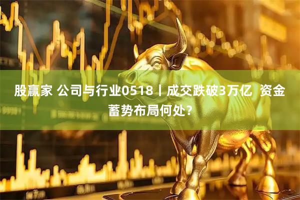 股赢家 公司与行业0518丨成交跌破3万亿  资金蓄势布局何处？